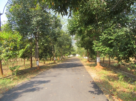 565571322-1) Li id 368 - Pic 2.JPG